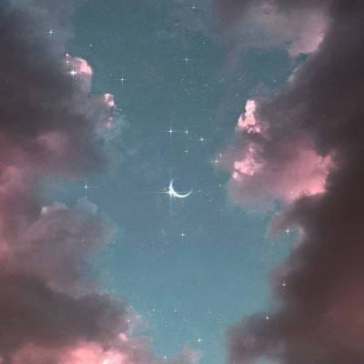 游游蜂云手机官方下载